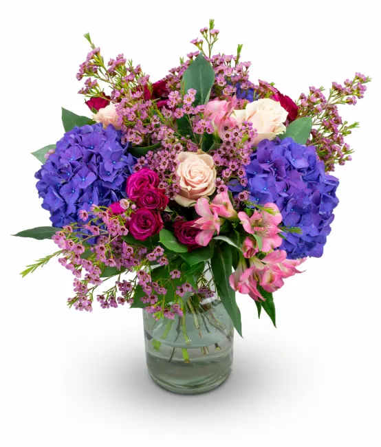 Bouquet of hydrangea